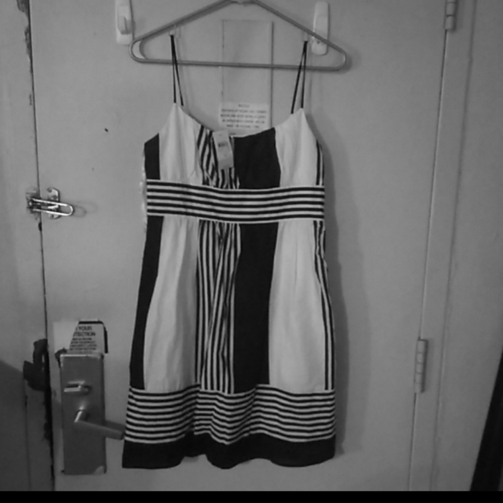 New ann taylor dress petite